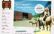 サイト制作